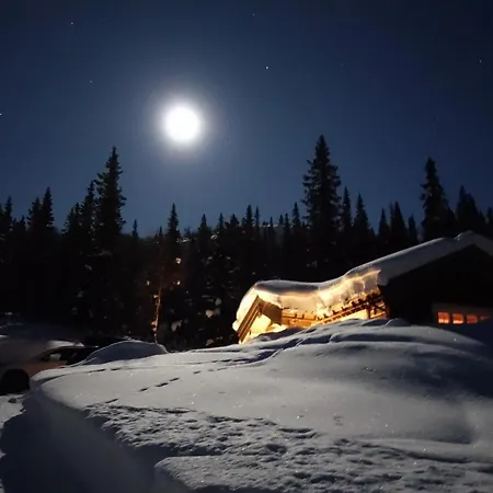 Liaplassen Fjellhytte Holiday home *