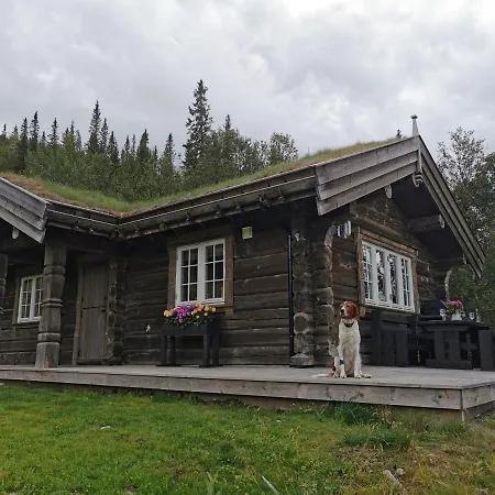 Liaplassen Fjellhytte Holiday home *
