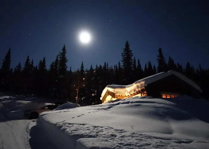 Liaplassen Mountain View Feriehus *