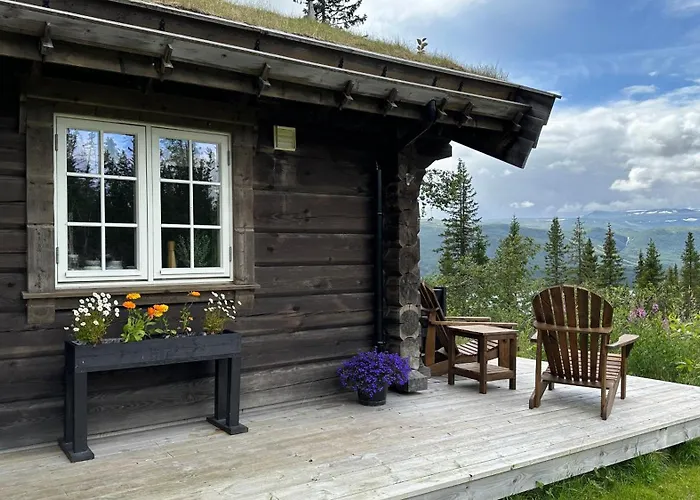 Liaplassen Mountain View *