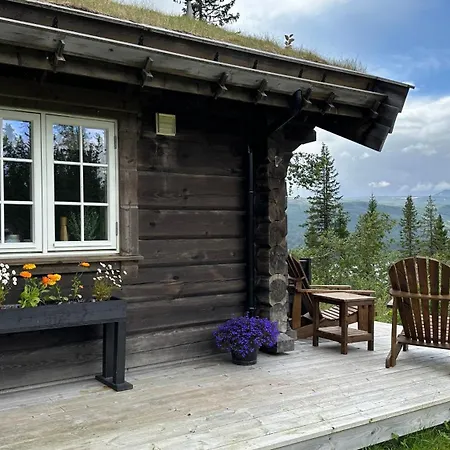 Liaplassen Mountain View *